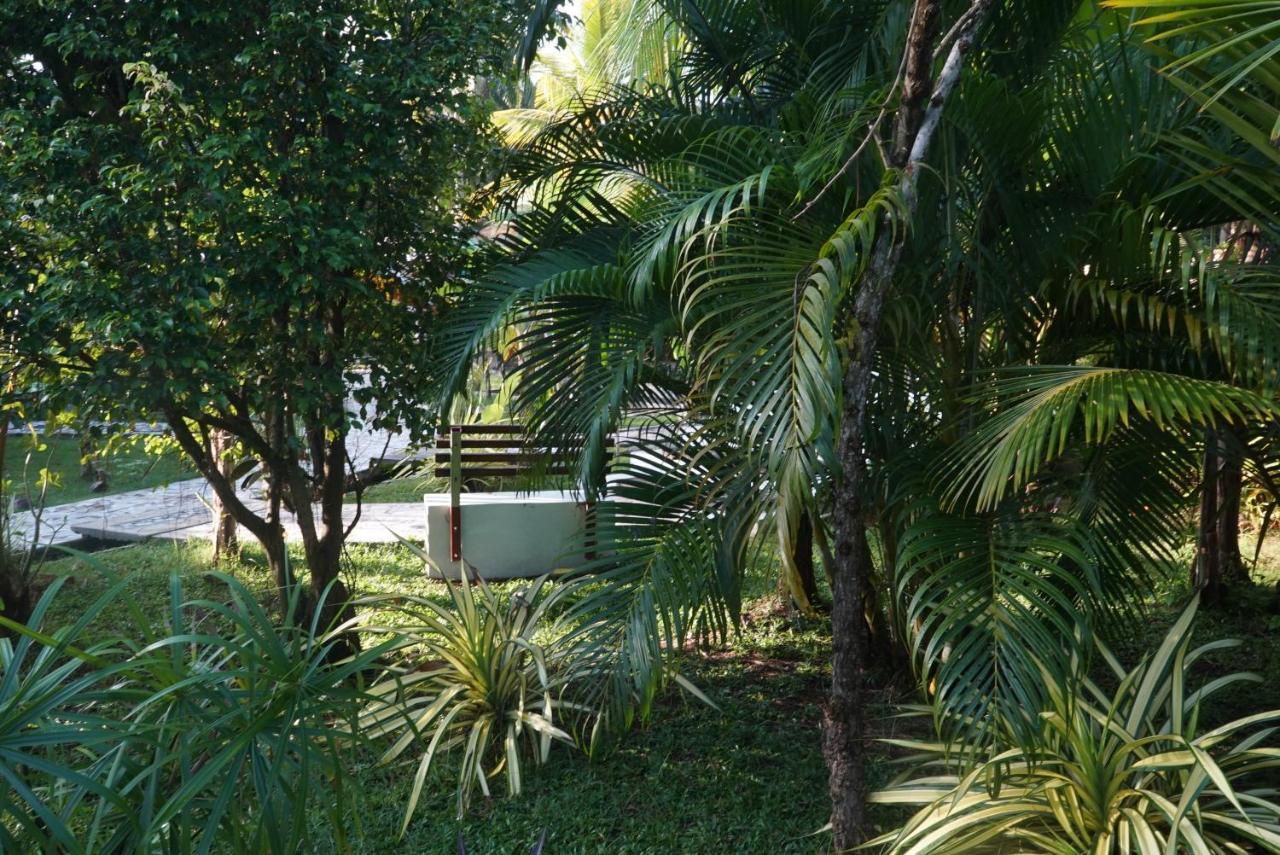 Red Coconut Villa Bentota Esterno foto